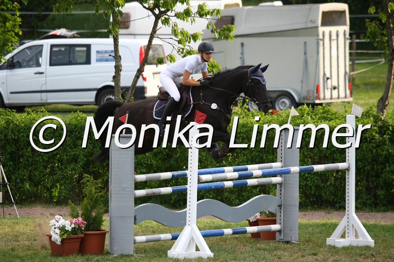 105M2965_Glenna Grazia_Spring_M.JPG